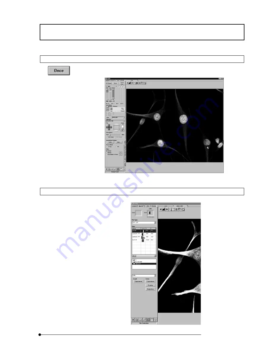 Olimpus FLUOVIEW FV500 User Manual Download Page 87