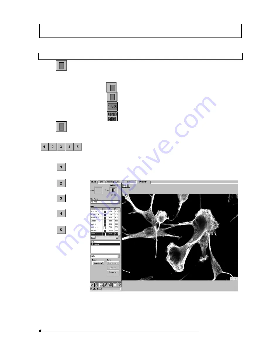 Olimpus FLUOVIEW FV500 User Manual Download Page 253