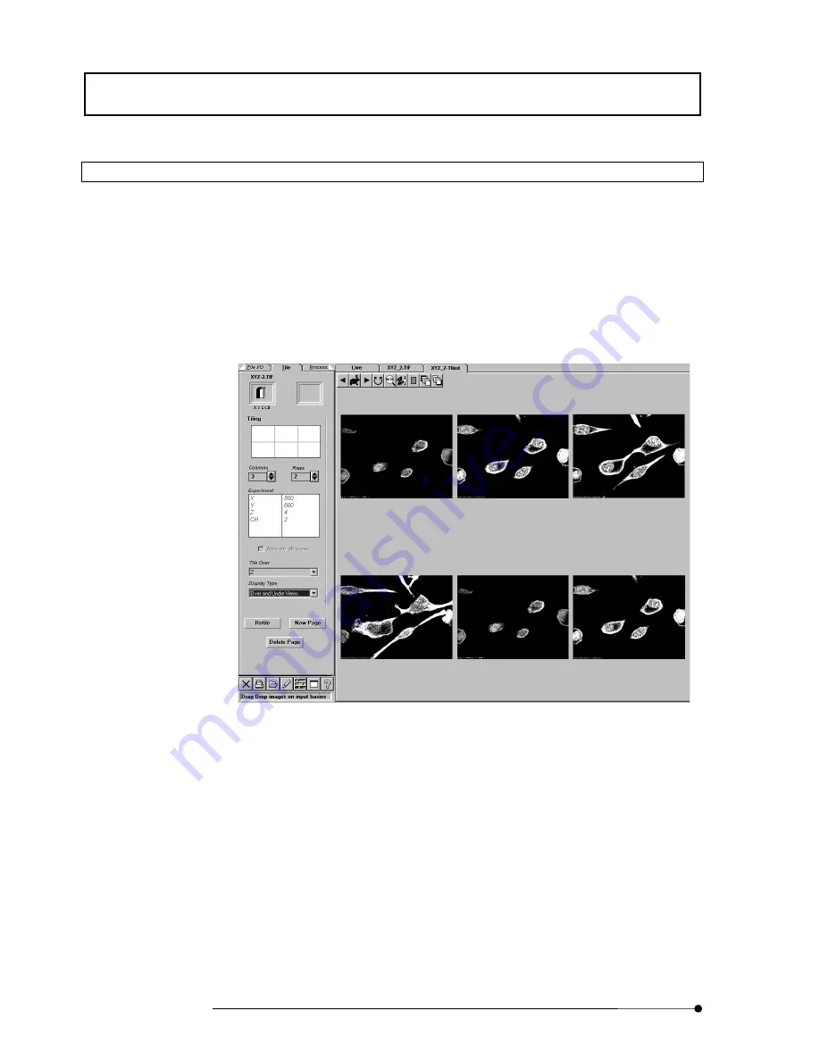 Olimpus FLUOVIEW FV500 User Manual Download Page 262