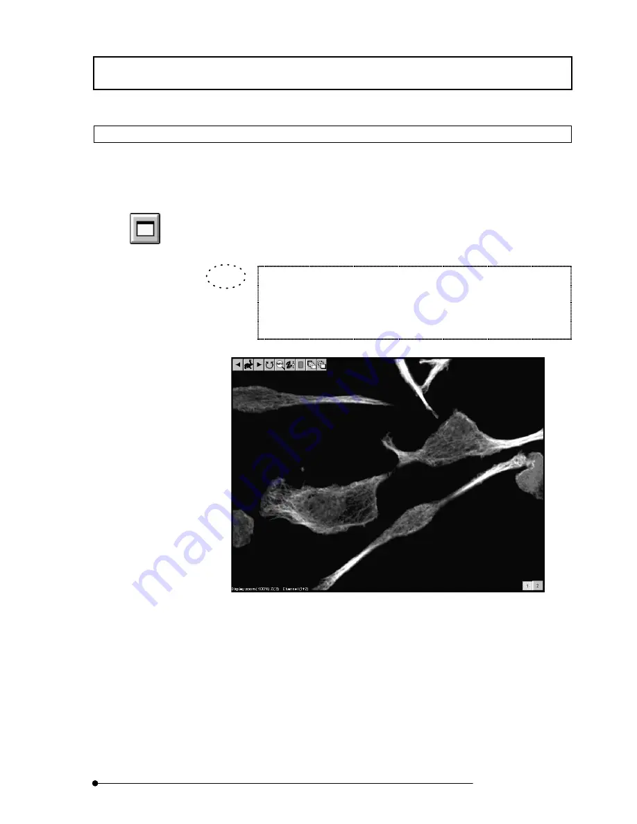 Olimpus FLUOVIEW FV500 User Manual Download Page 269