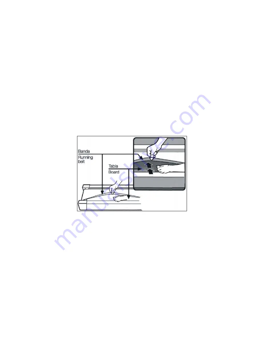 Orbit T977 Owner'S Manual Download Page 22