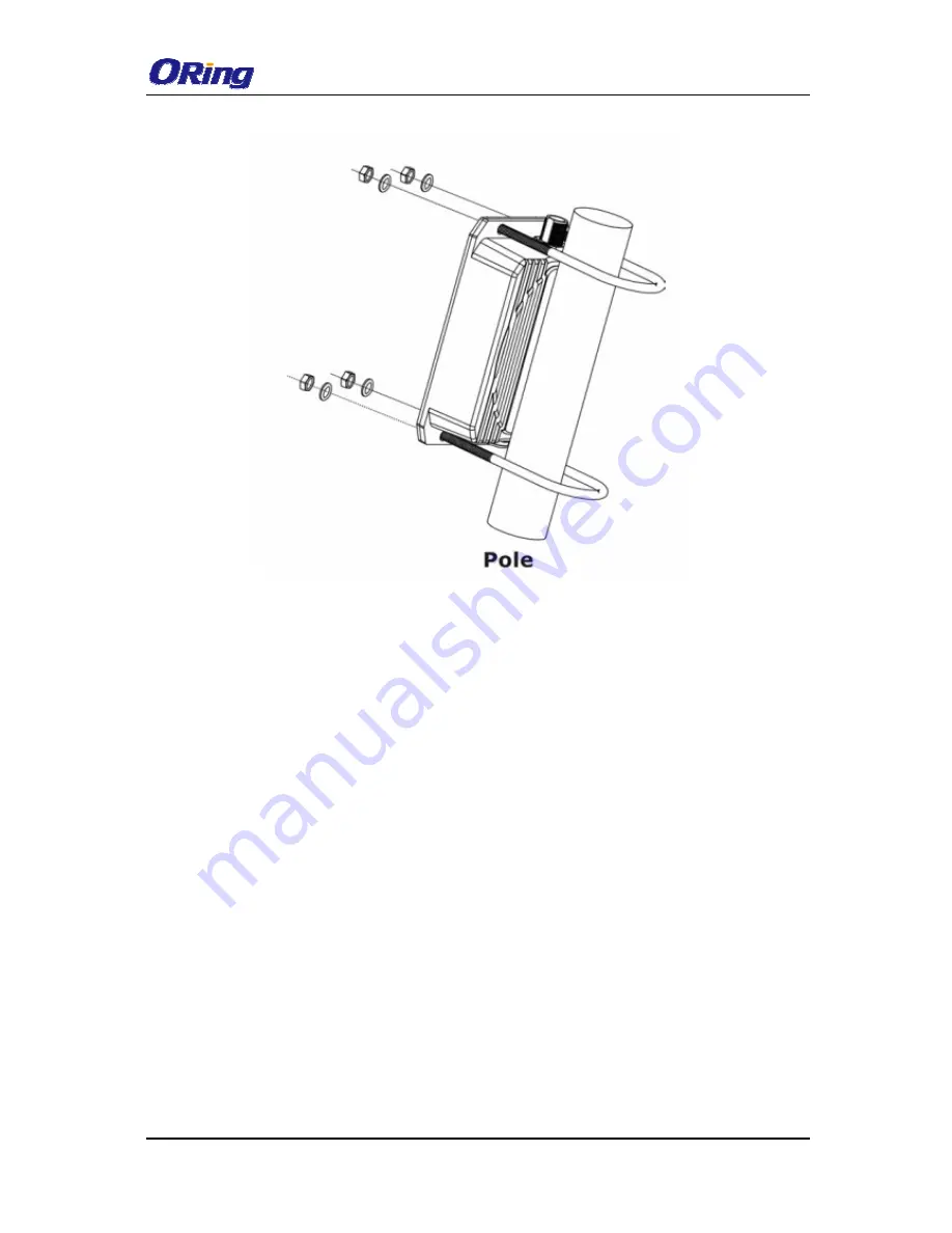 ORiNG IAP-W420 Скачать руководство пользователя страница 12