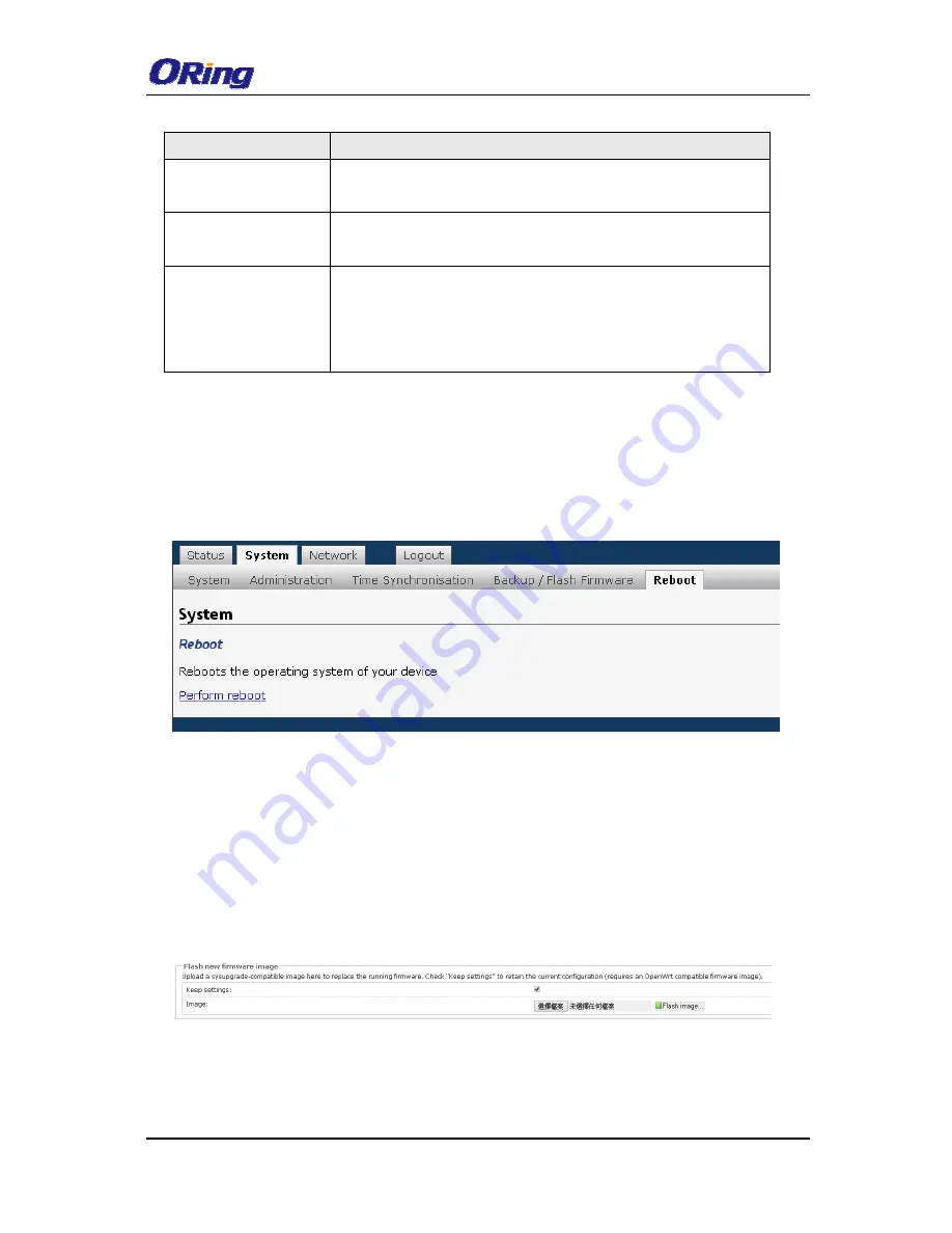 ORiNG IAP-W420 User Manual Download Page 21