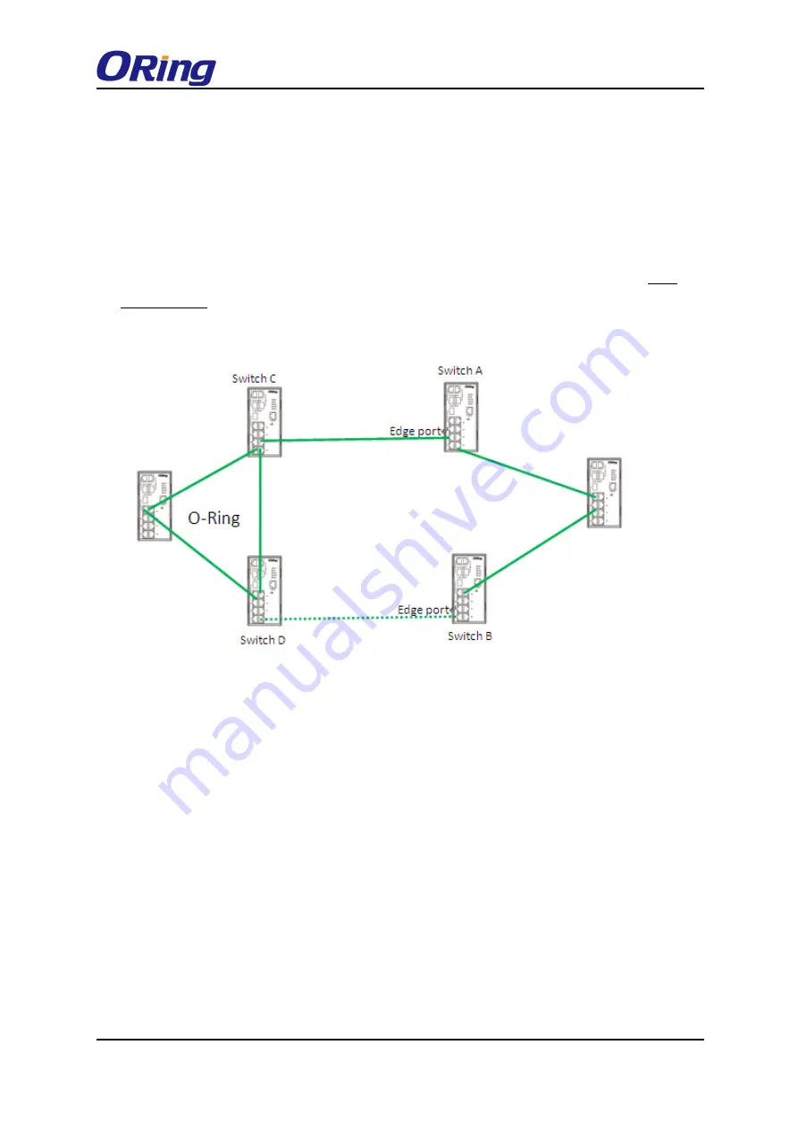 ORiNG TRGPS-9084TG-M12X-BP2-MV Скачать руководство пользователя страница 20