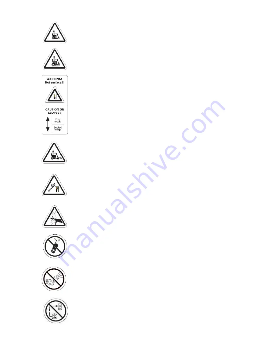 Orthoquad RZ1000 User Manual Download Page 6