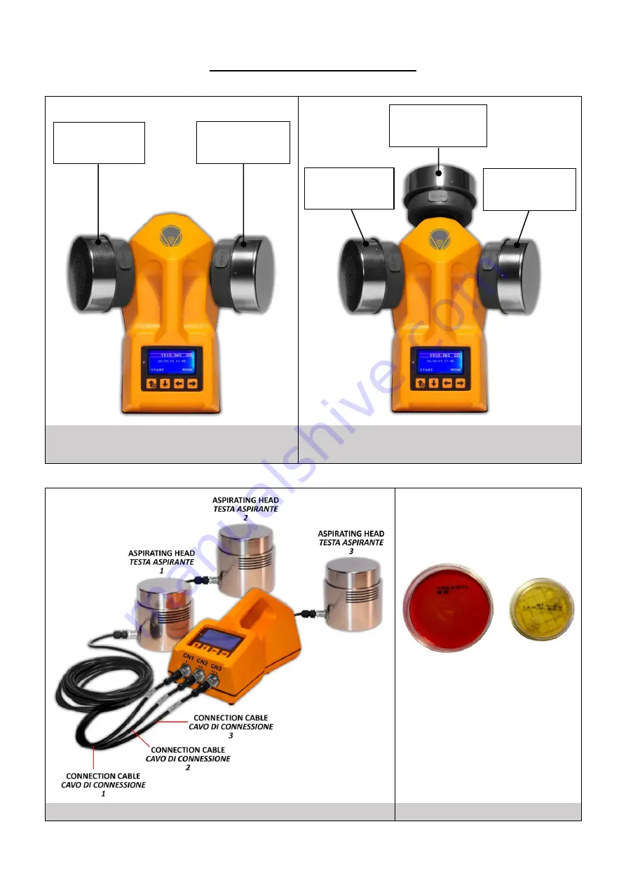 orum Duo User Manual Download Page 12