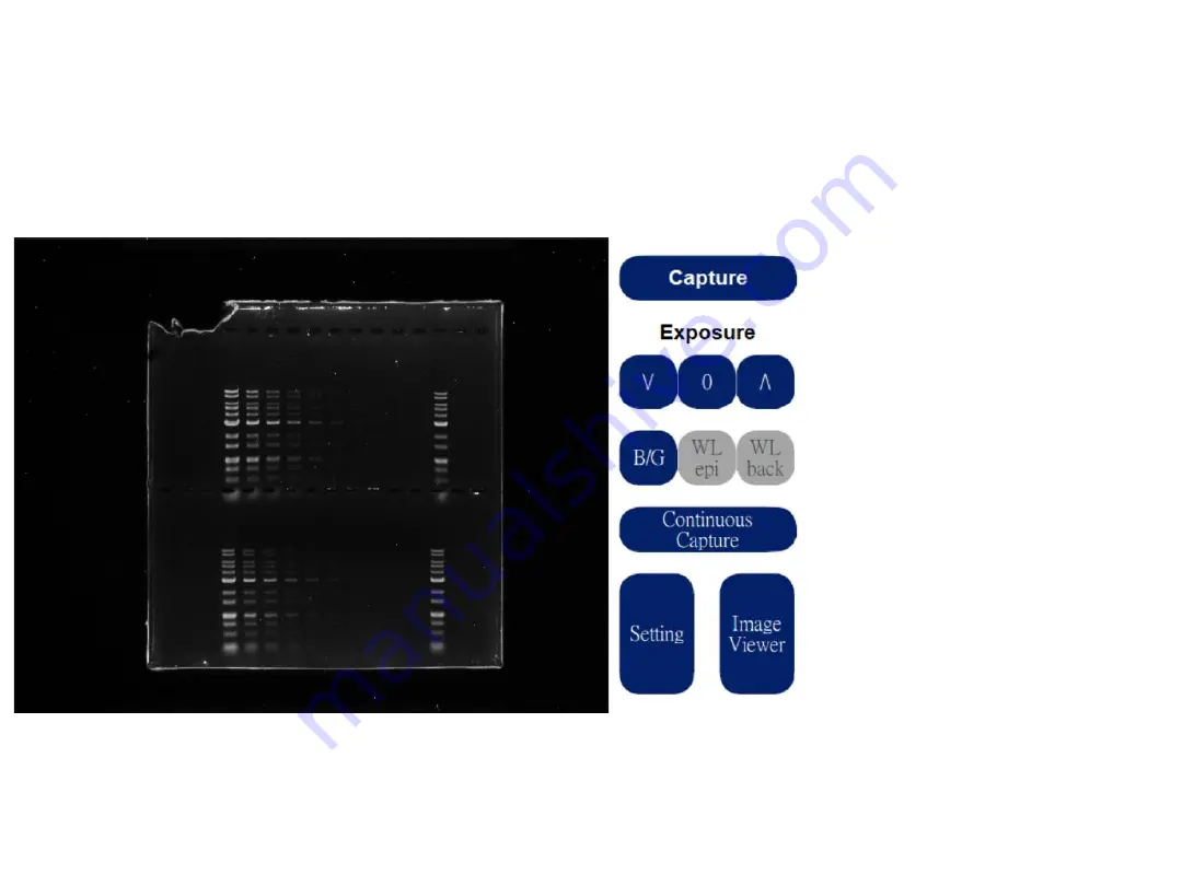 Pacific Image Electronics Glite T8 User Manual Download Page 6