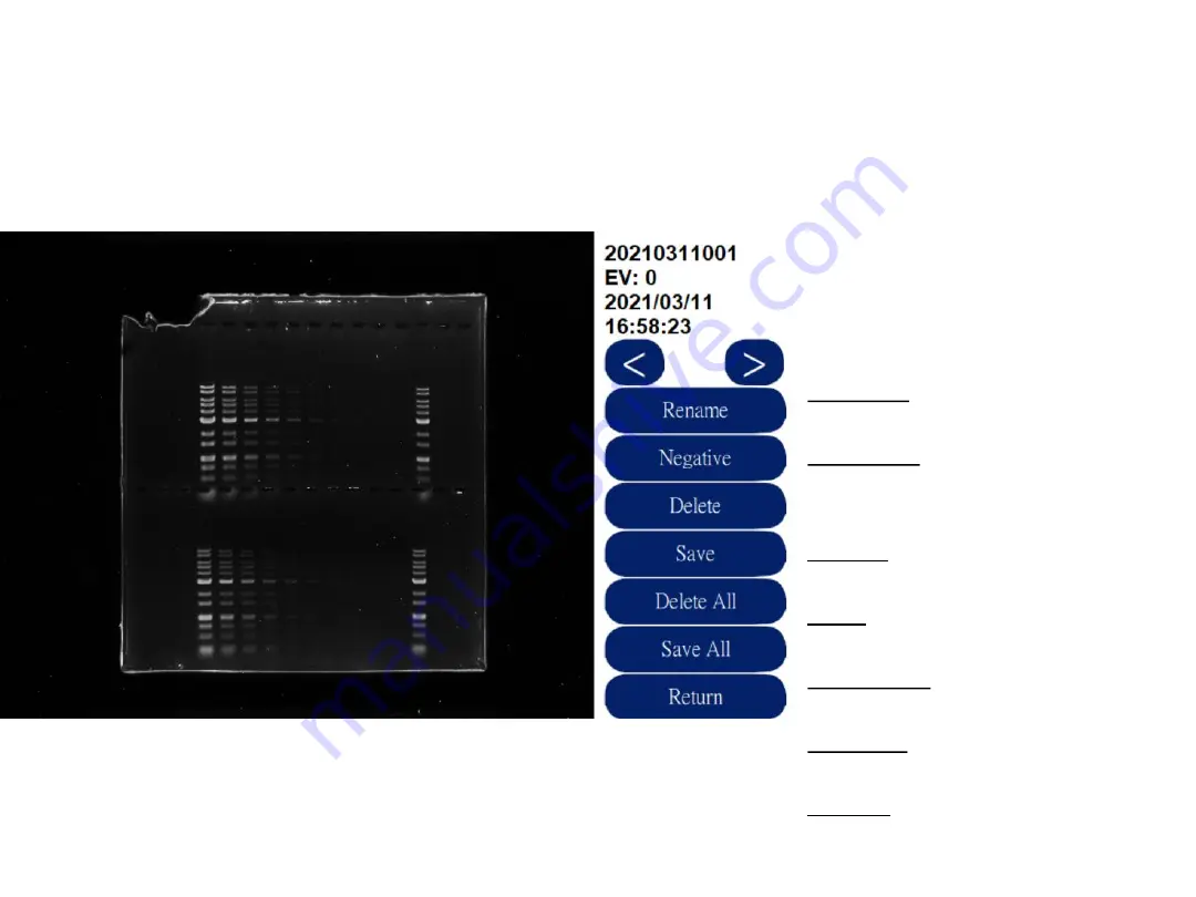 Pacific Image Electronics Glite T8 User Manual Download Page 8