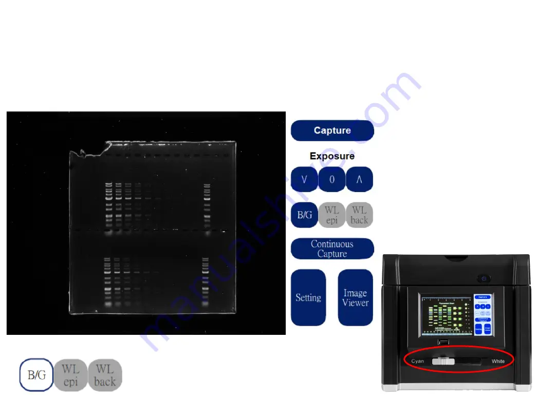 Pacific Image Electronics Glite T8 Скачать руководство пользователя страница 10