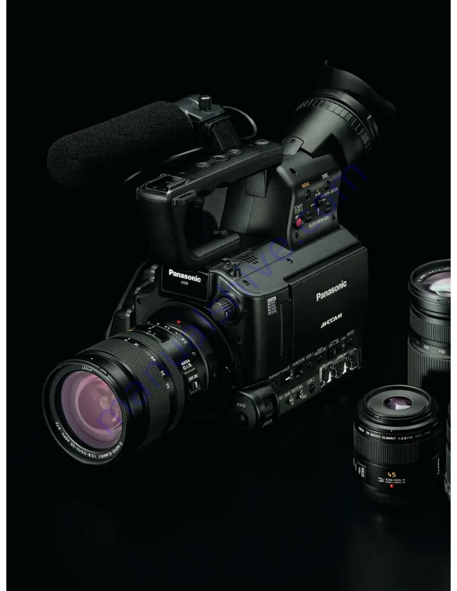 Panasonic AVCCAM AG-AF100 Series Brochure & Specs Download Page 2