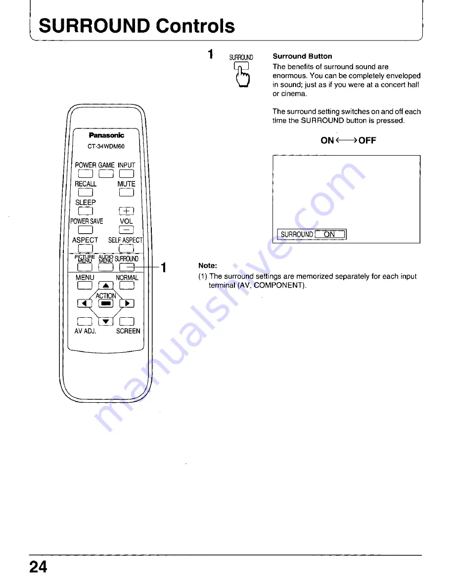 Panasonic CT-34WDM60 Скачать руководство пользователя страница 24