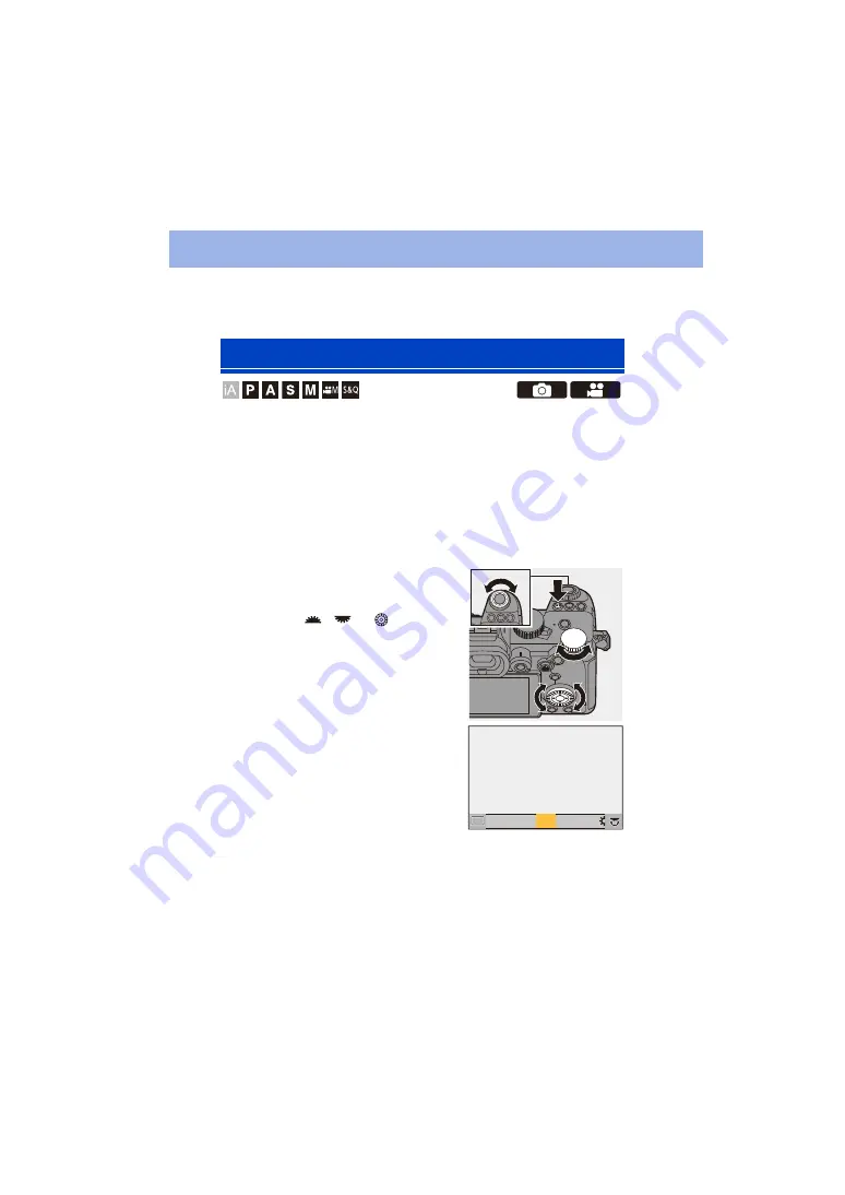 Panasonic DC-S5 Скачать руководство пользователя страница 202