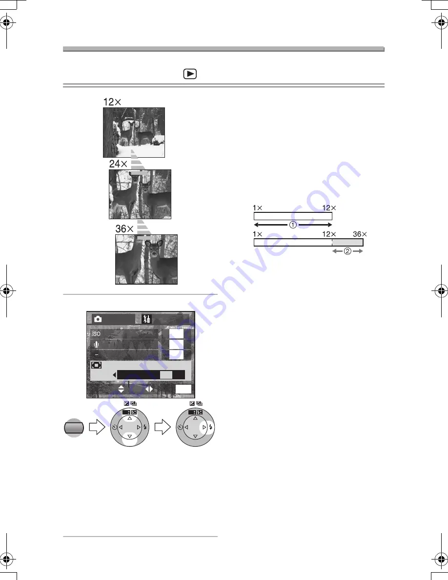 Panasonic DMC-FZ10K - Lumix Digital Camera Operating Instructions Manual Download Page 77