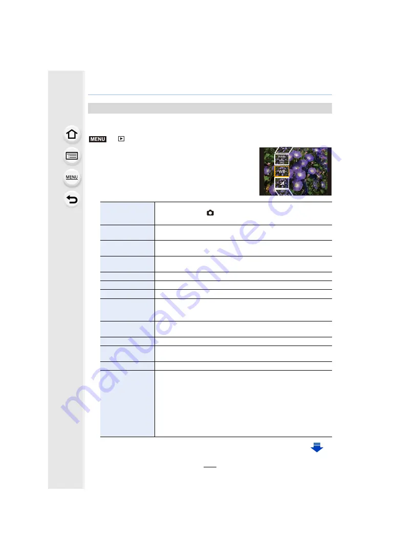 Panasonic DMC-G80 Operating Instructions Manual Download Page 233