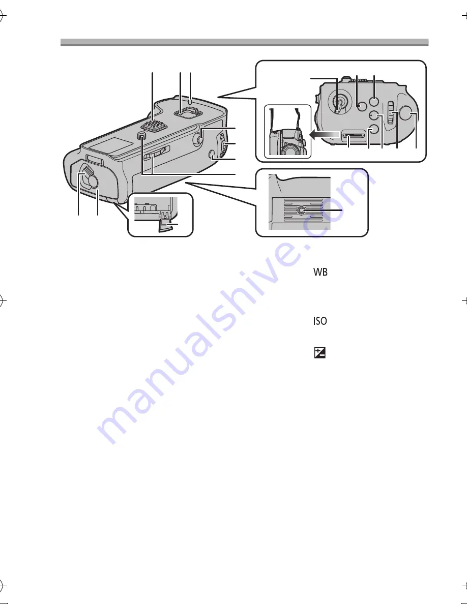 Panasonic DMW-BGGH5 Operating Instructions Manual Download Page 113