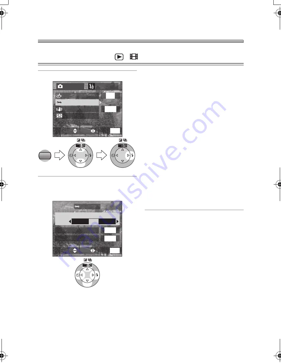 Panasonic LUMIX DMC-FZ10EB Operating Instructions Manual Download Page 79