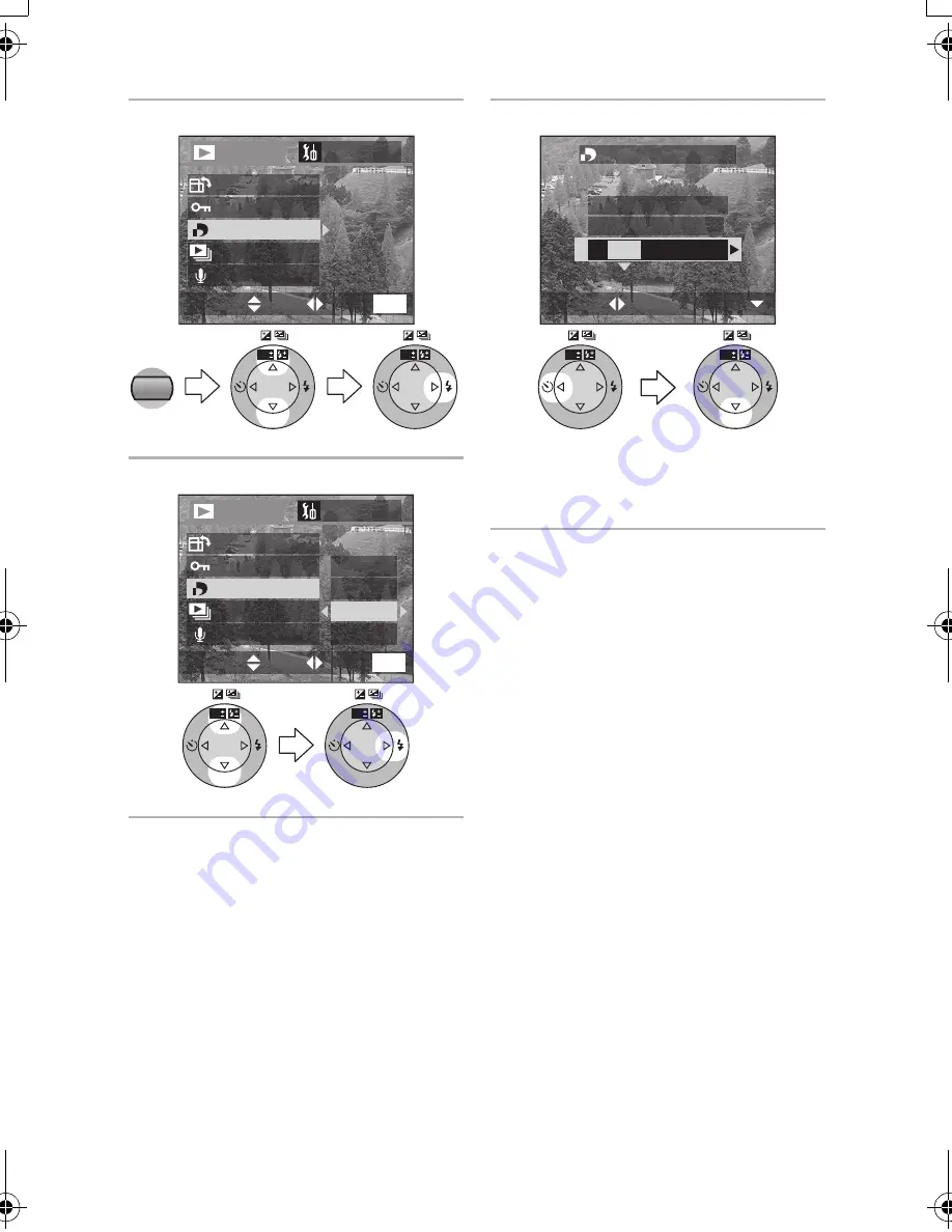 Panasonic LUMIX DMC-FZ10EB Operating Instructions Manual Download Page 93