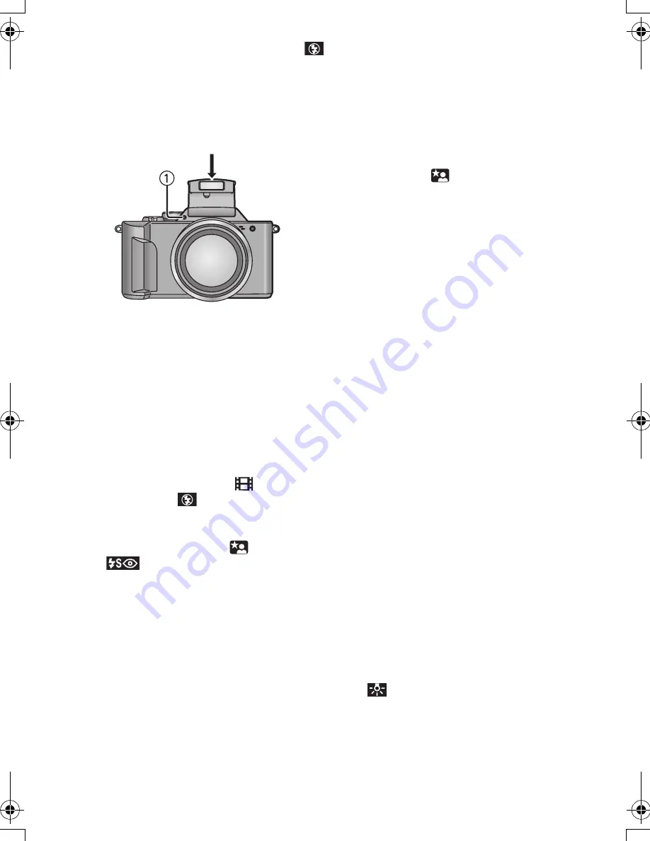 Panasonic LUMIX DMC-FZ2B Operating Instructions Manual Download Page 39