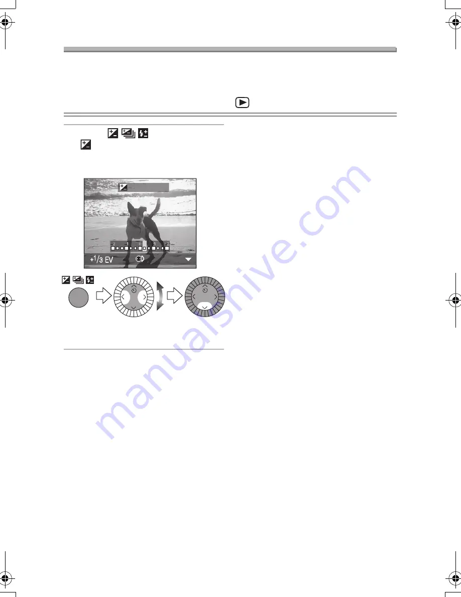 Panasonic LUMIX DMC-LC1GC Operating Instructions Manual Download Page 47