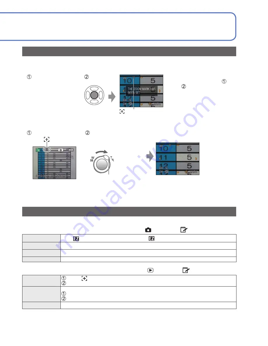 Panasonic Lumix DMC-TZ10 Operating Instructions Manual Download Page 111