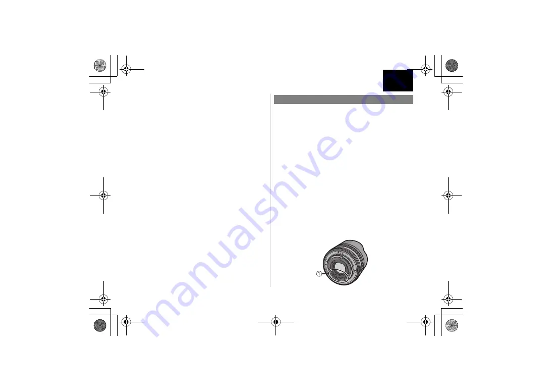 Panasonic Lumix H-F008 Operating Instructions Manual Download Page 67