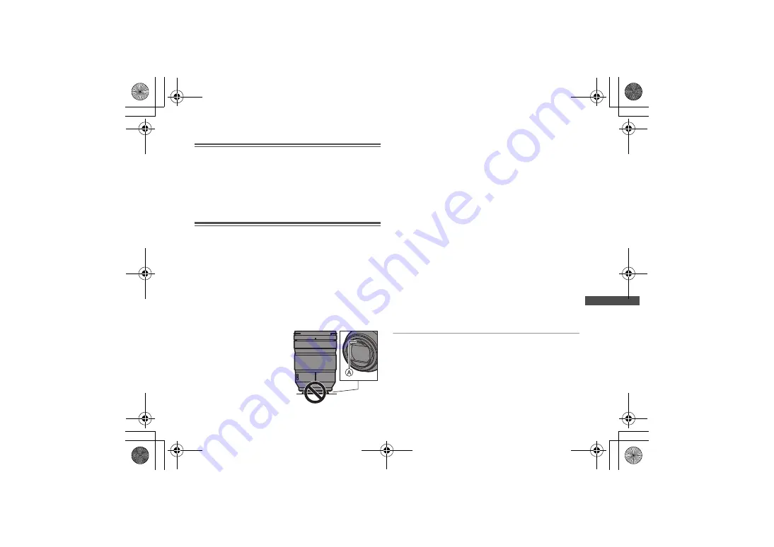 Panasonic Lumix S-R24105 Operating Instructions Manual Download Page 67