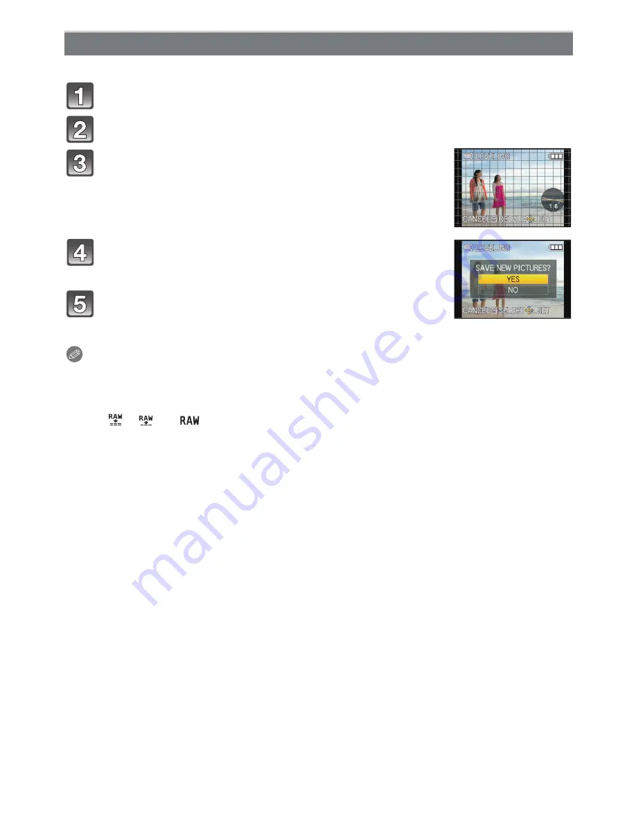 Panasonic LumixDMC-FZ45 Operating Instructions Manual Download Page 163