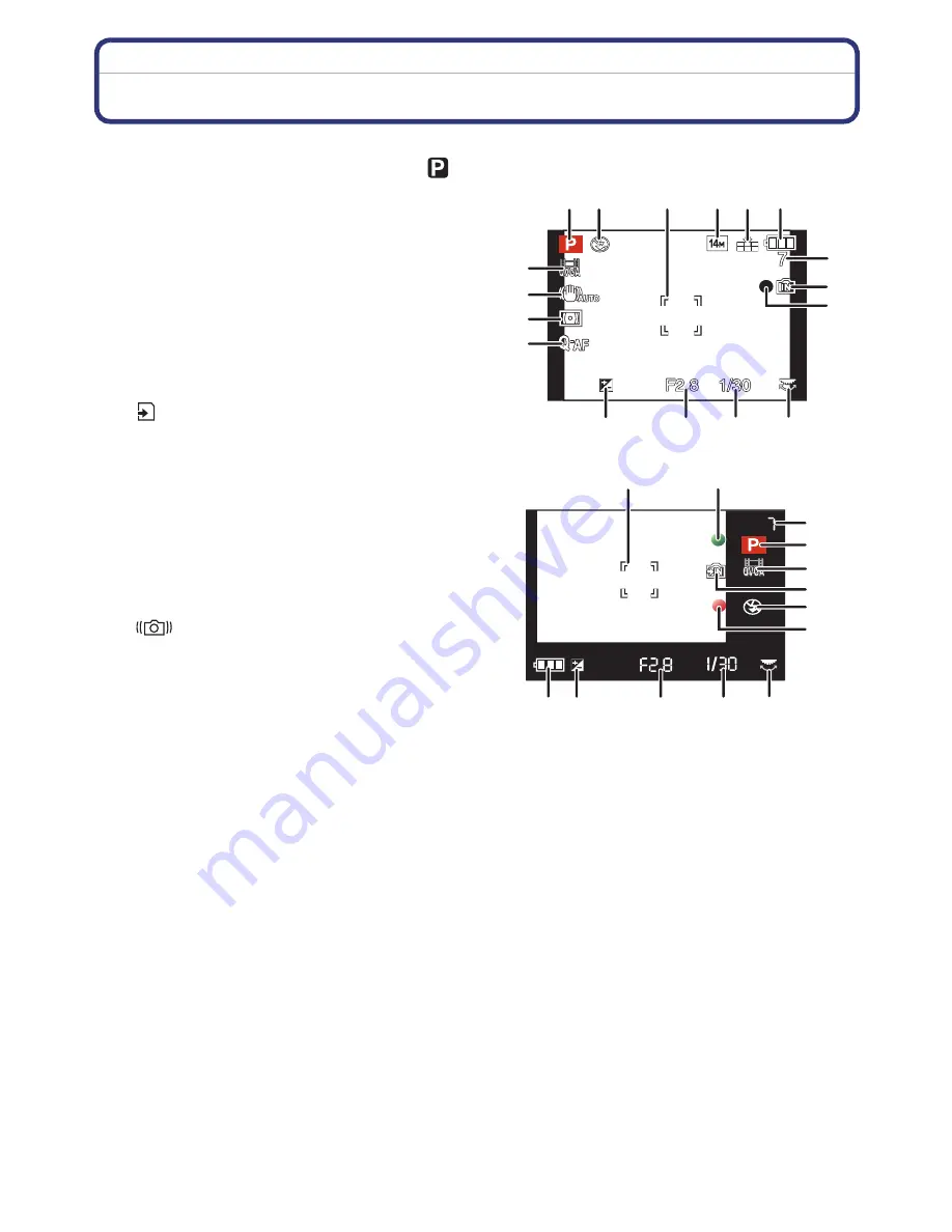 Panasonic LumixDMC-FZ45 Operating Instructions Manual Download Page 193