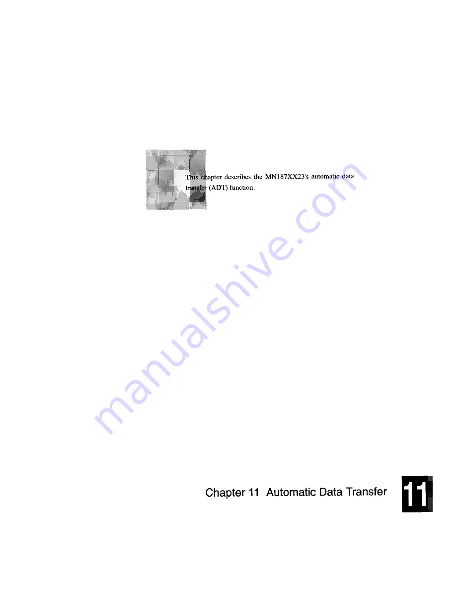 Panasonic MN1872423 User Manual Download Page 237