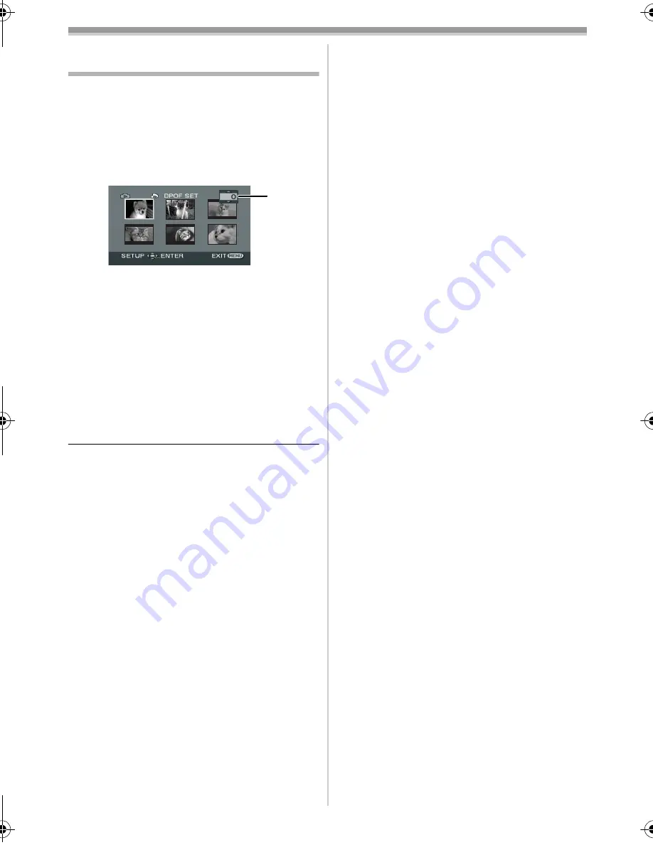 Panasonic NV-GS300 Operating Instructions Manual Download Page 103