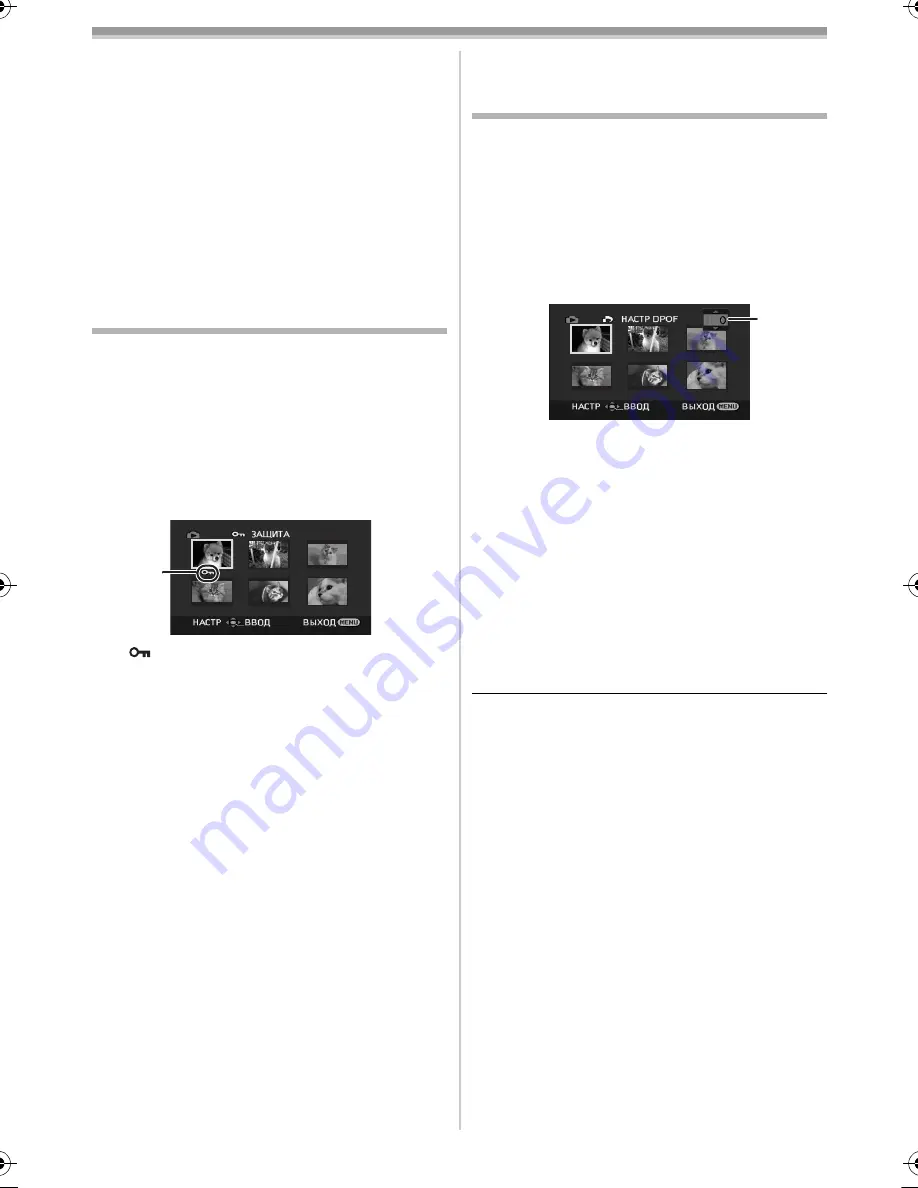 Panasonic NV-GS80 Скачать руководство пользователя страница 111