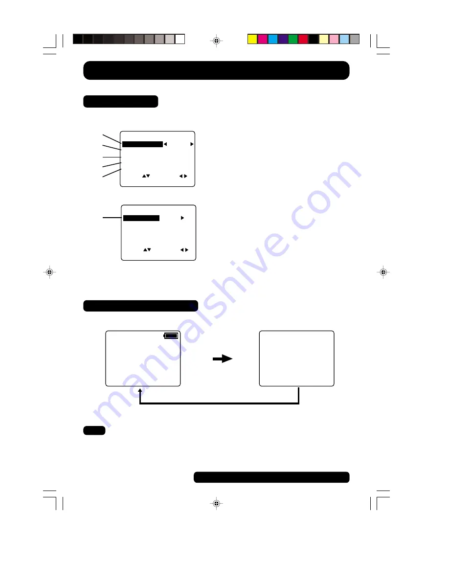 Panasonic PalmCam PV-SD4090 Operating Instructions Manual Download Page 12