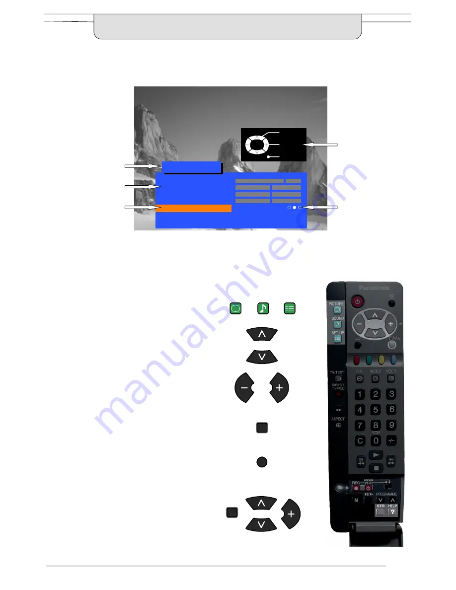 Panasonic Quintrix TX-24DX1 Operating Instructions Manual Download Page 11