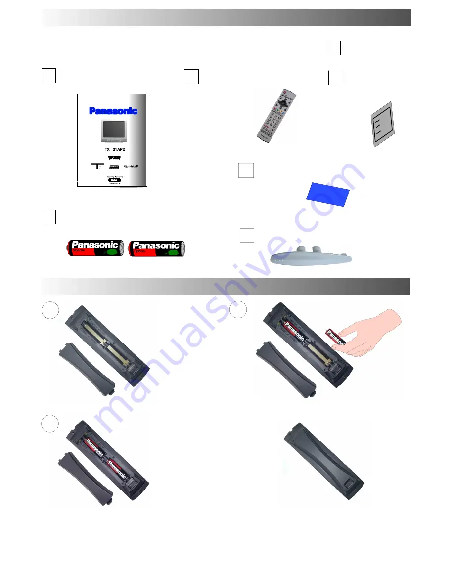 Panasonic QuintrixF TX-21AP2 Скачать руководство пользователя страница 5