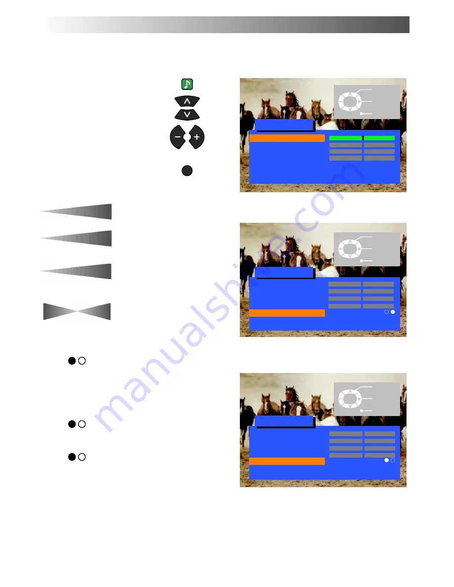 Panasonic QuintrixF TX-28PK20D Operating Instructions Manual Download Page 12