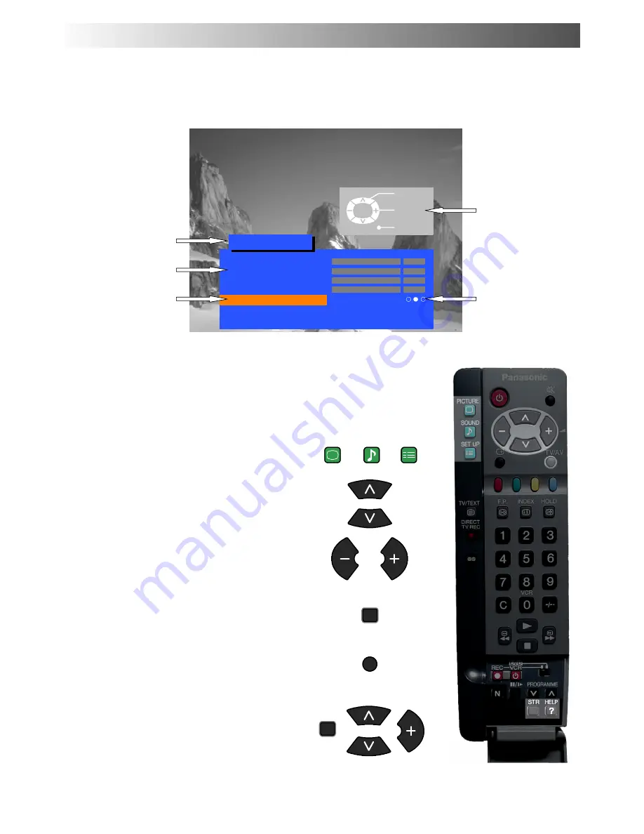 Panasonic QuintrixF TX-29AS1F Скачать руководство пользователя страница 7