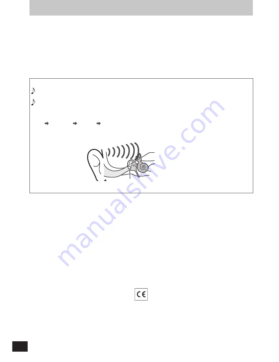 Panasonic RP-WFG20 Operating Instructions Manual Download Page 42