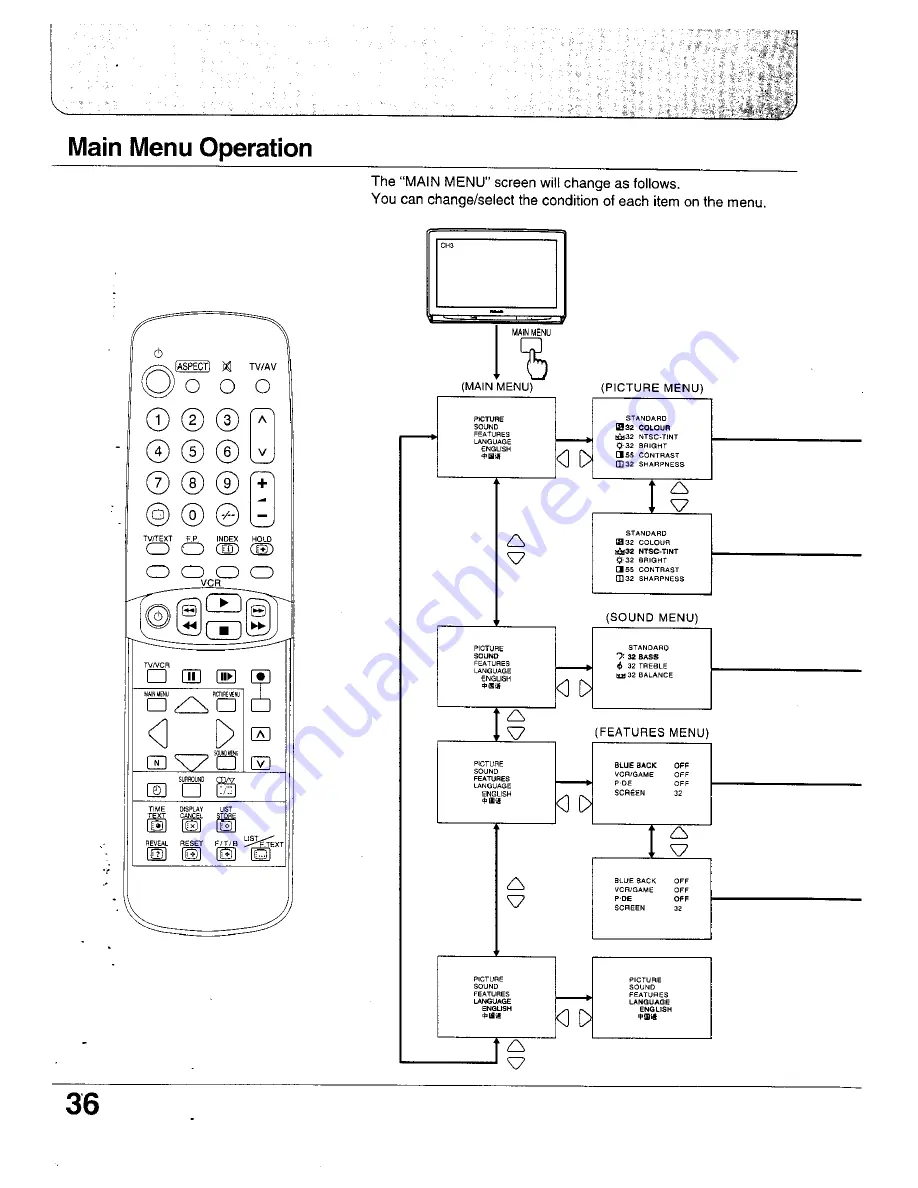 Panasonic TC-24WG10 Series Operating Instructions Manual Download Page 36