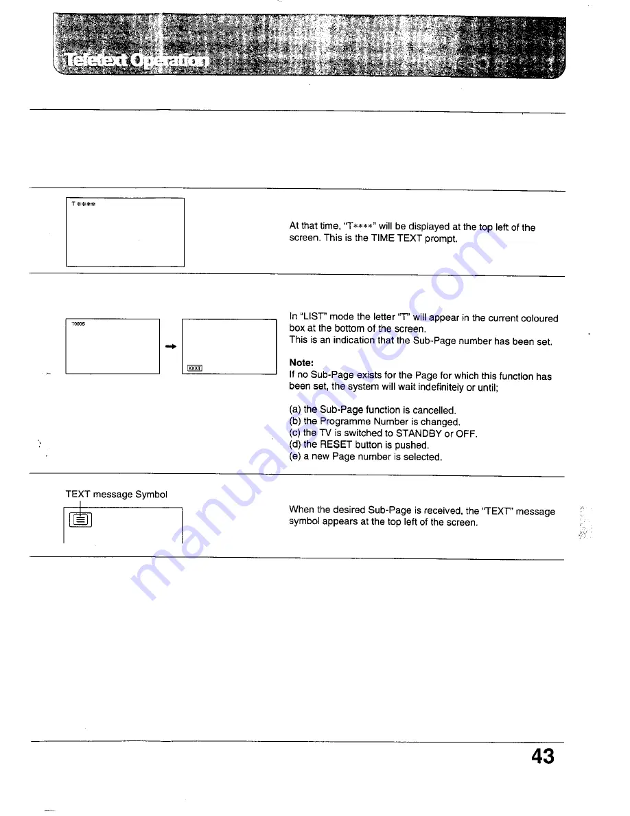 Panasonic TC-24WG10 Series Operating Instructions Manual Download Page 43