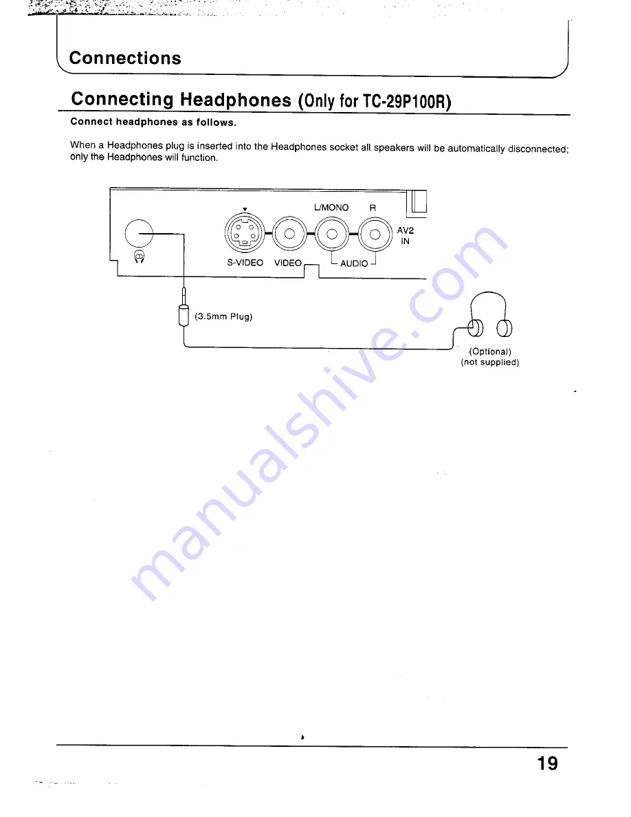 Panasonic TC-29P100 Series Operating Instructions Manual Download Page 19