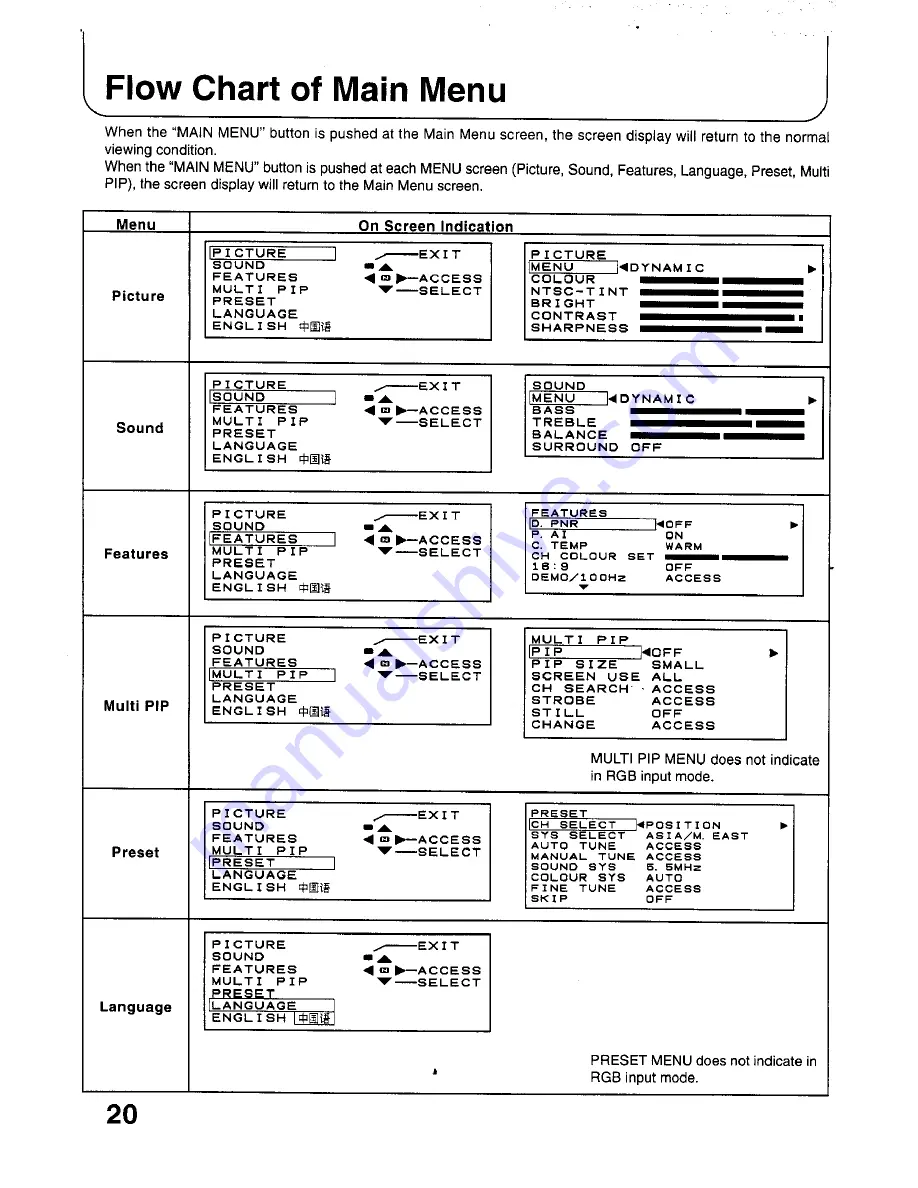 Panasonic TC-29P100 Series Operating Instructions Manual Download Page 20