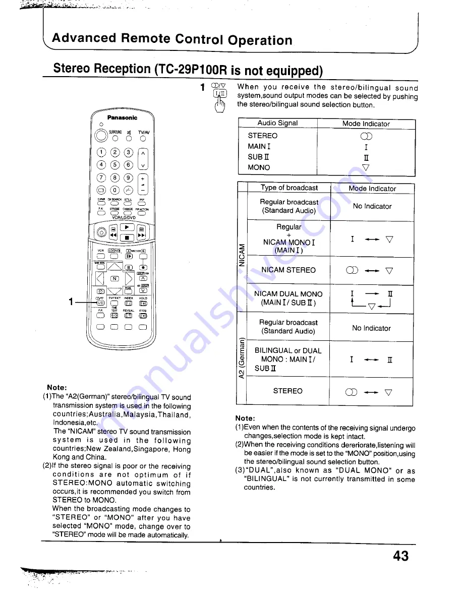 Panasonic TC-29P100 Series Operating Instructions Manual Download Page 43