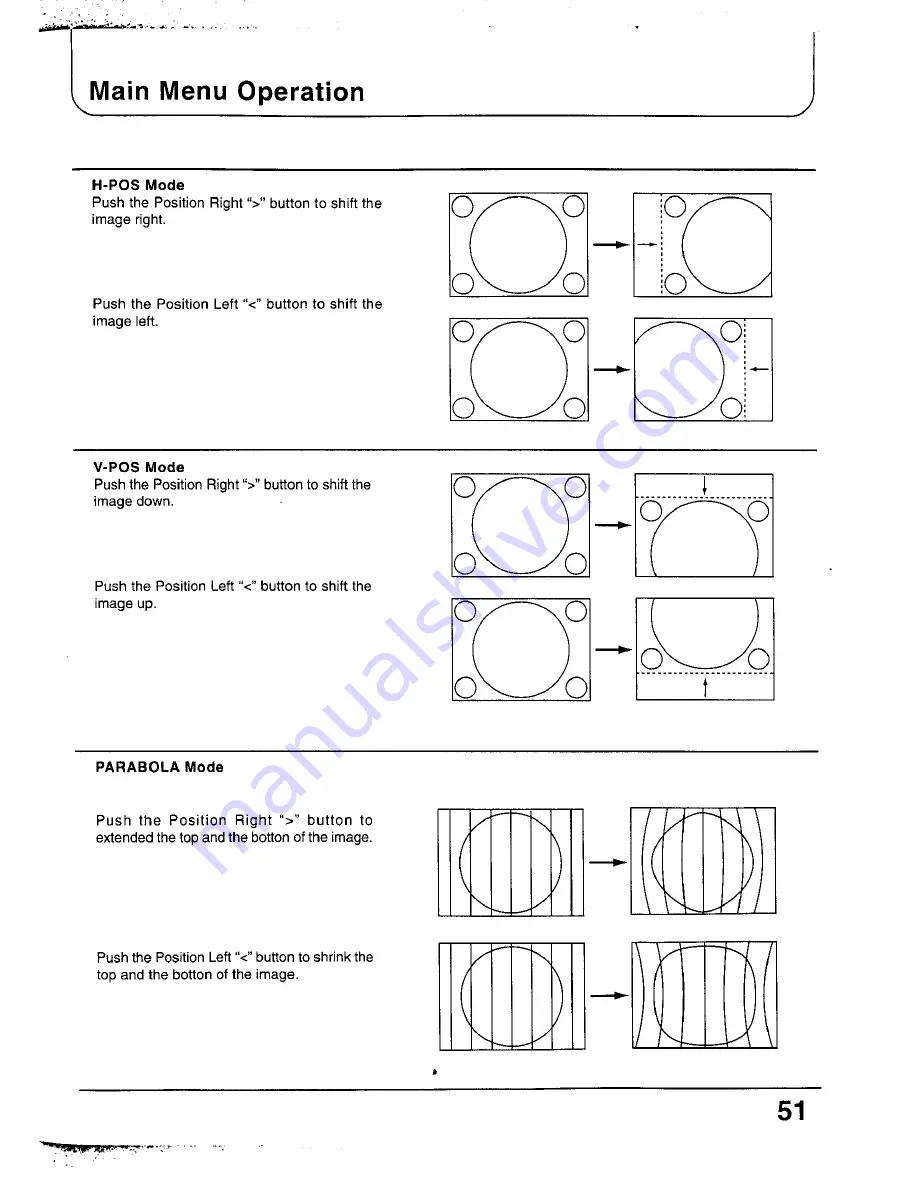 Panasonic TC-29P100 Series Operating Instructions Manual Download Page 51