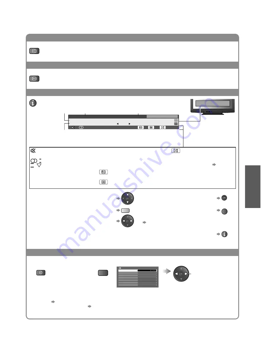 Panasonic TH-P42G10Z Скачать руководство пользователя страница 14