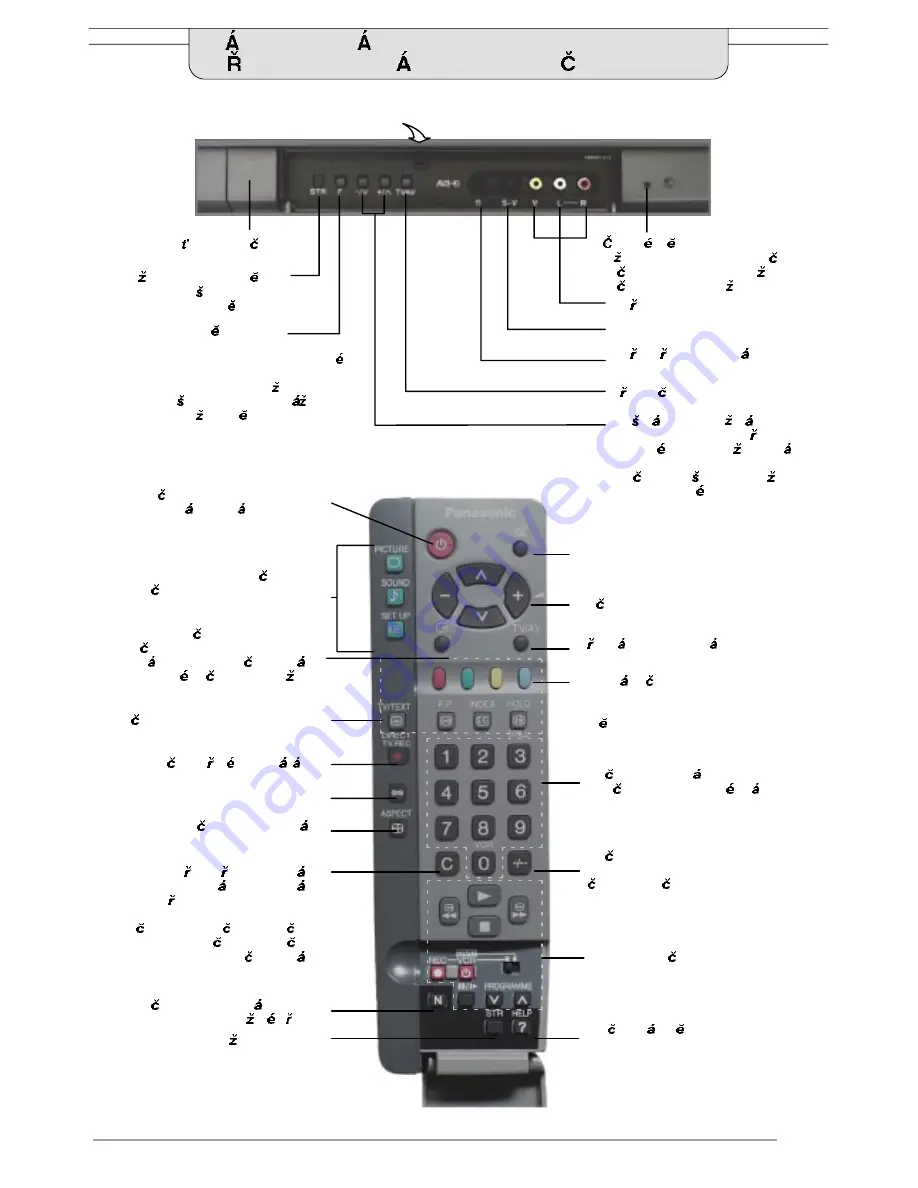 Panasonic TX-25LD90P Скачать руководство пользователя страница 6