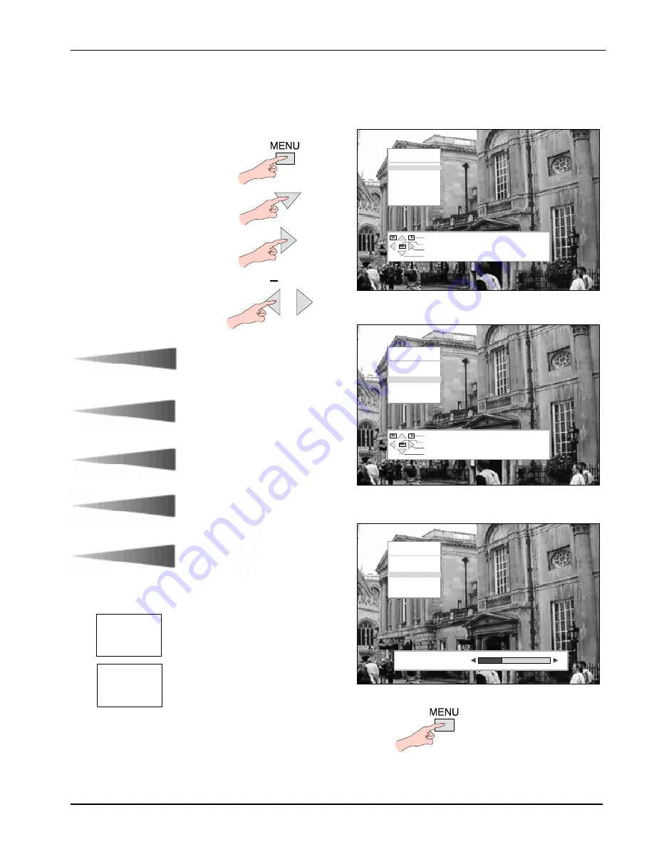 Panasonic TX-29AD70DP Скачать руководство пользователя страница 13