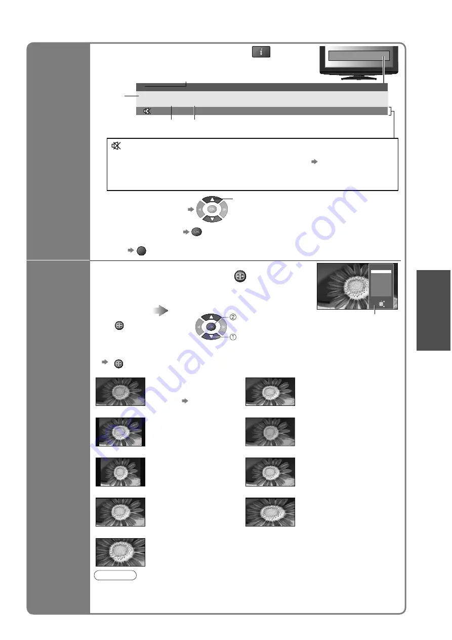 Panasonic TX-L26X10P Скачать руководство пользователя страница 15