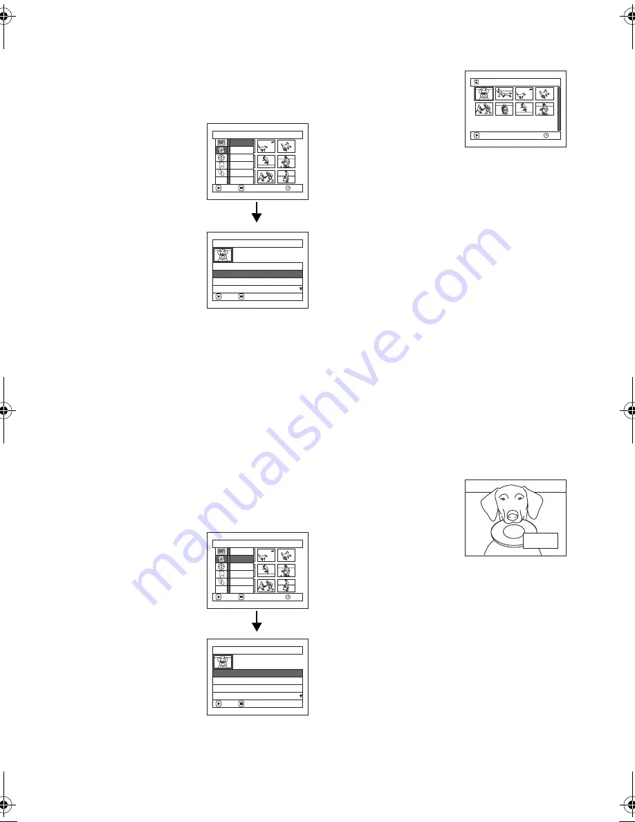 Panasonic VDR-M53 Operating Instructions Manual Download Page 117