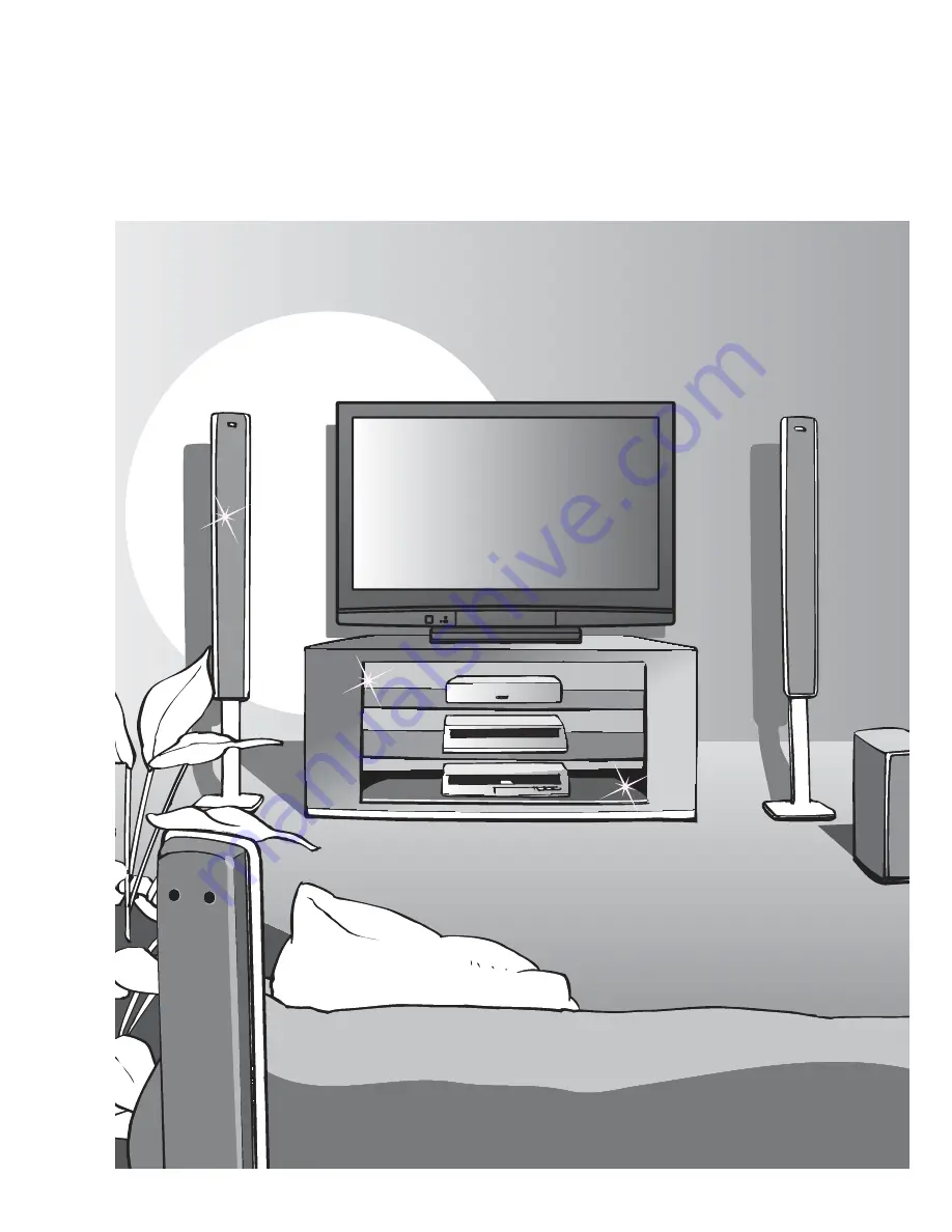 Panasonic Viera TH-42PZ80A Operating Instructions Manual Download Page 2