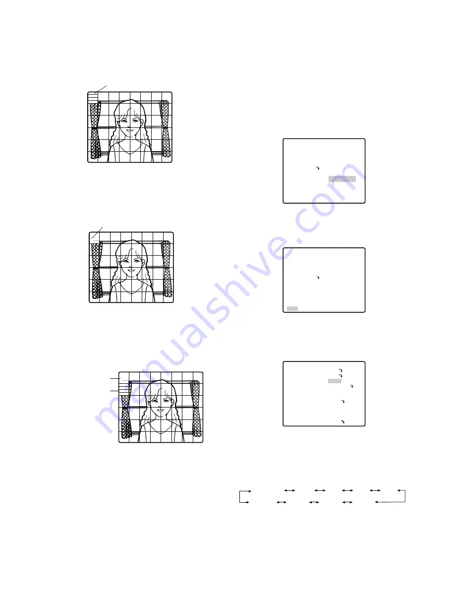 Panasonic WVCS574 - COLOR CCTV CAMERA Operating Instructions Manual Download Page 102